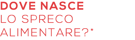 dove nasce lo spreco alimentare?*
